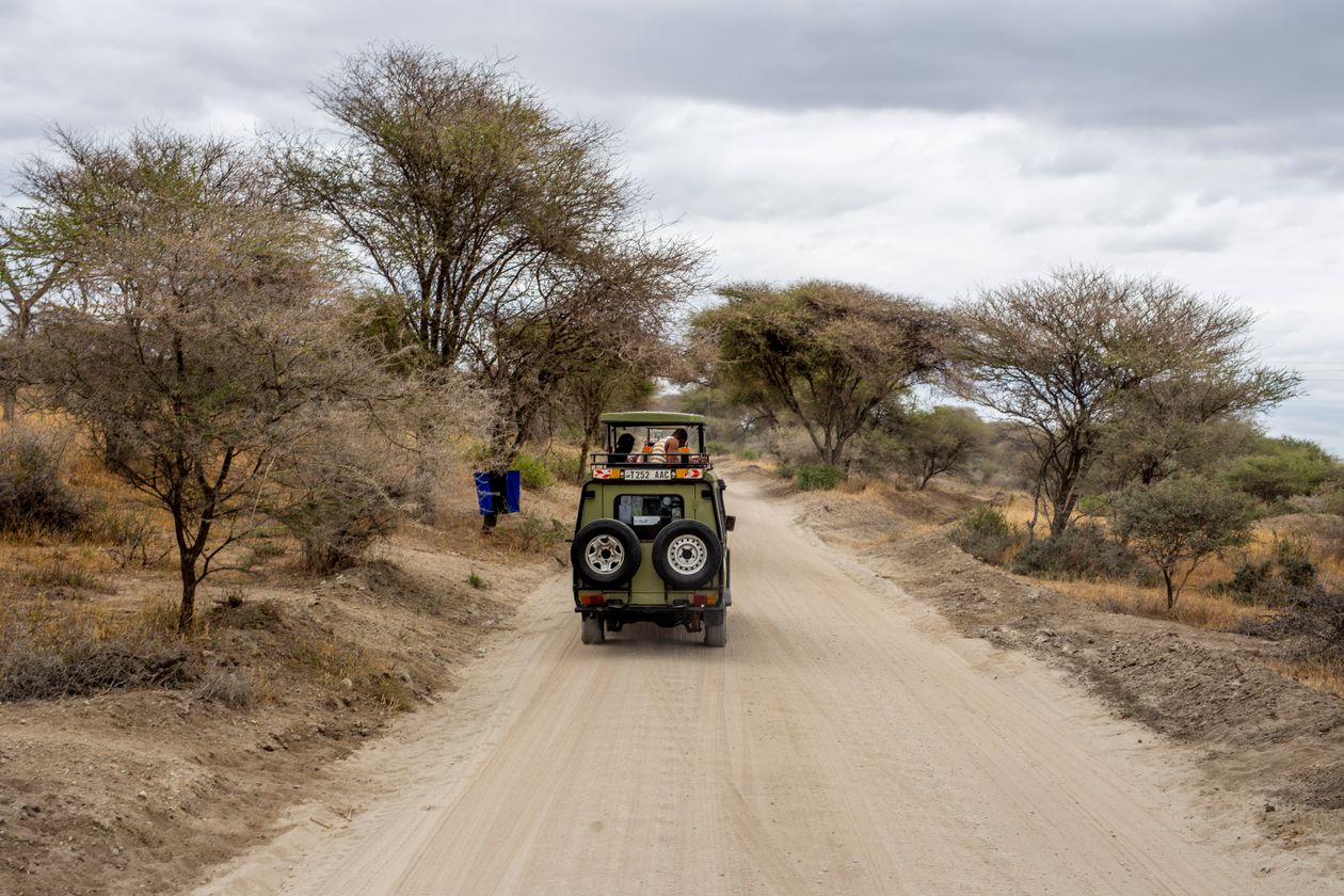 Tanzania safari jeep on a dusty dirt road through the savanna with acacia trees